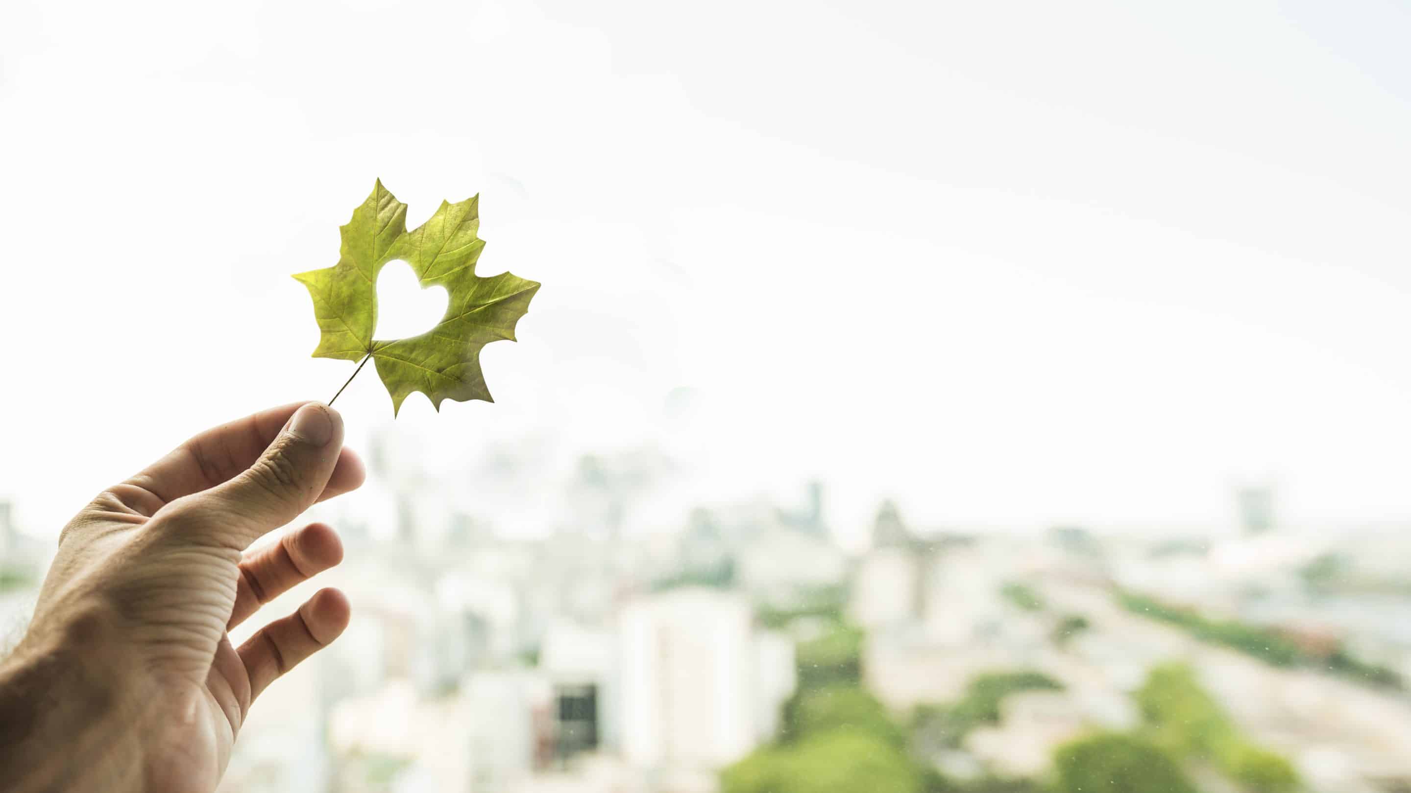 Une main tient une feuille verte avec une découpe en forme de cœur, devant un paysage urbain flou et lumineux.
